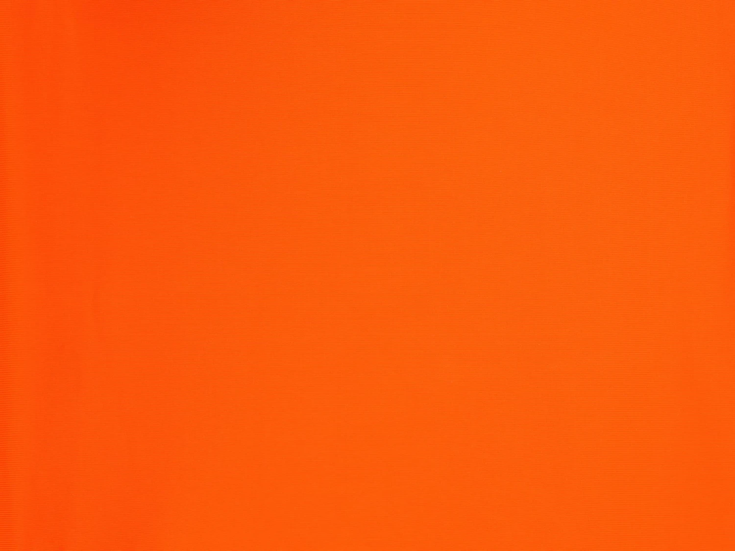 Bottom Calendula Nice-fio - Image 4