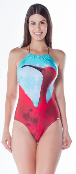 Frente Unica Localizado Guara